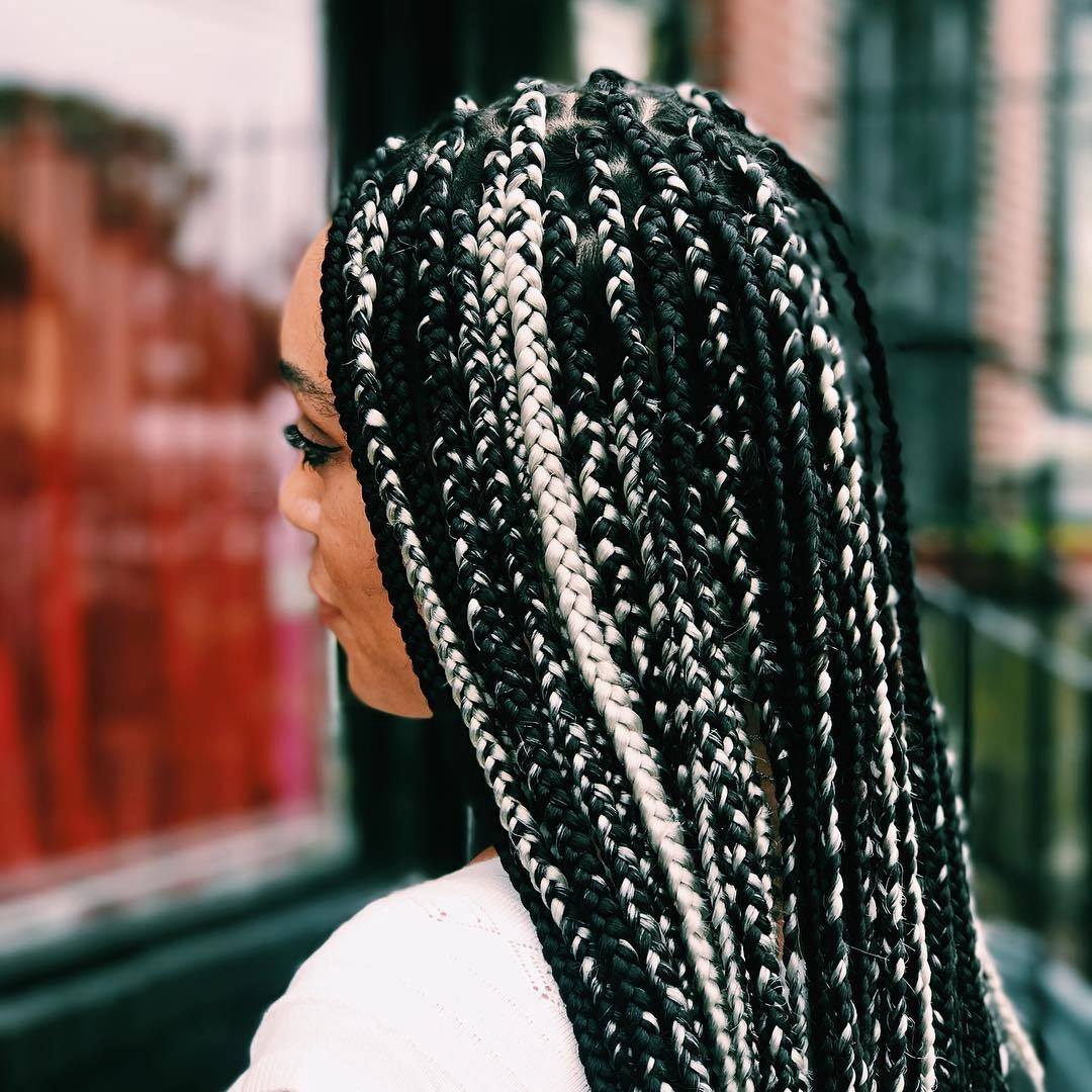 Black + Silver Highlighted Box Braids